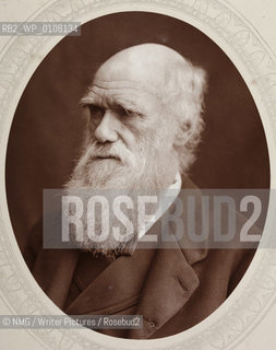 Charles Robert Darwin (1809-1882).wrote The Origin of Species..Copyright©NMG/Writer Pictures/Rosebud2