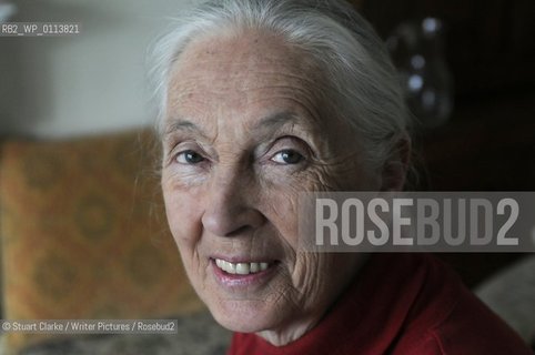 Dr Jane Goodall DBE who has studied primates for the last 50 years with her Chimp mascot..copyright©Stuart Clarke/Writer Pictures/Rosebud2
