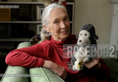 Dr Jane Goodall DBE who has studied primates for the last 50 years with her Chimp mascot..copyright©Stuart Clarke/Writer Pictures/Rosebud2