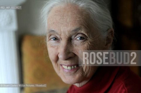 Dr Jane Goodall DBE who has studied primates for the last 50 years with her Chimp mascot..copyright©Stuart Clarke/Writer Pictures/Rosebud2