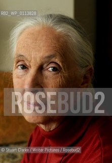 Dr Jane Goodall DBE who has studied primates for the last 50 years with her Chimp mascot..copyright©Stuart Clarke/Writer Pictures/Rosebud2