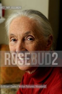Dr Jane Goodall DBE who has studied primates for the last 50 years with her Chimp mascot..copyright©Stuart Clarke/Writer Pictures/Rosebud2