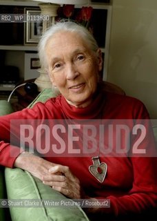 Dr Jane Goodall DBE who has studied primates for the last 50 years with her Chimp mascot..copyright©Stuart Clarke/Writer Pictures/Rosebud2
