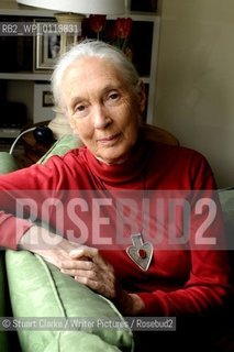 Dr Jane Goodall DBE who has studied primates for the last 50 years with her Chimp mascot..copyright©Stuart Clarke/Writer Pictures/Rosebud2
