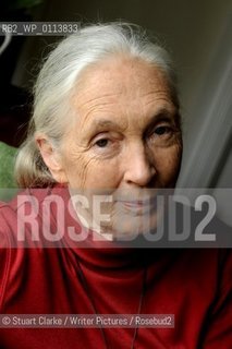 Dr Jane Goodall DBE who has studied primates for the last 50 years with her Chimp mascot..copyright©Stuart Clarke/Writer Pictures/Rosebud2