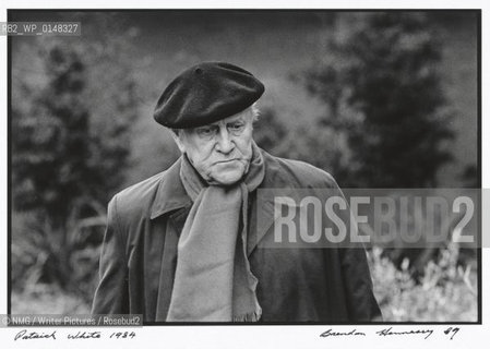 Kenry Kirke White (1785-1806).English poet.Copyright©NMG/Writer Pictures/Rosebud2