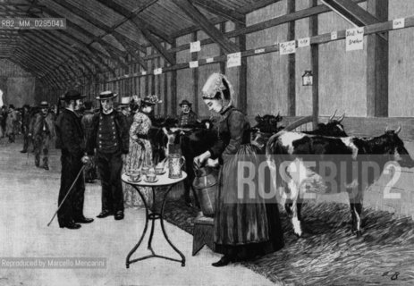 Expo History, Paris 1889. International competition for productive animals: the Breton cows / Storia dellExpo, Parigi 1889. Concorso internazionale per animali produttivi: le mucche bretoni - Reproduced by Marcello Mencarini
/Rosebud2