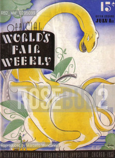 Expo History, Chicago 1933-1934. The official fair weekly / Storia dellExpo, Chicago 1933-1934. Il settimanale ufficiale della fiera - Reproduced by Marcello Mencarini
/Rosebud2