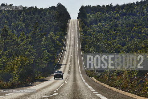 Road in the Vaucluse department in Provence region, France / Strada nel dipartimento della Vaucluse, nella regione della Provenza, Francia - ©Marcello Mencarini/Rosebud2