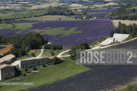 Lavender fields near Sault in Provence (Vaucluse department, France) / Campi di lavanda vicino a Sault in Provenza (dipartimento della Vaucluse, francia) - ©Marcello Mencarini/Rosebud2