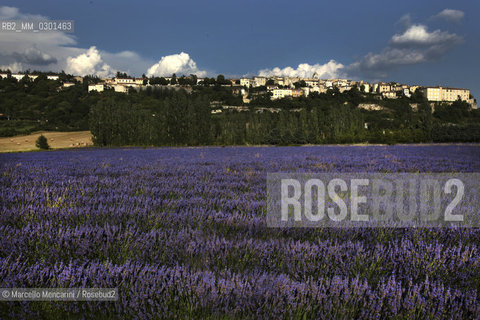 View of the Sault village in Provence (Vaucluse department, France) / Veduta di Sault in Provenza (dipartimento di Vaucluse, Francia) - ©Marcello Mencarini/Rosebud2