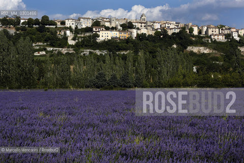 View of the Sault village in Provence (Vaucluse department, France) / Veduta di Sault in Provenza (dipartimento di Vaucluse, Francia) - ©Marcello Mencarini/Rosebud2