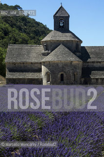 Lavender field at the Abbey of Sénanque / Campo di lavanda presso labbazia di Sénanque - ©Marcello Mencarini/Rosebud2
