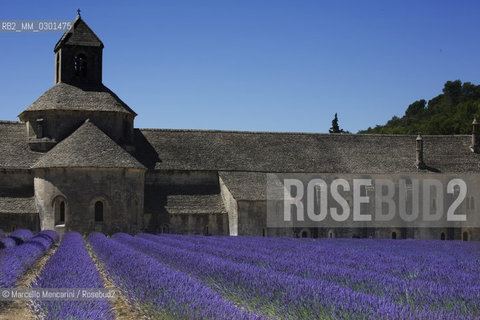 Lavender field at the Abbey of Sénanque / Campo di lavanda presso labbazia di Sénanque - ©Marcello Mencarini/Rosebud2