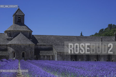 Lavender field at the Abbey of Sénanque / Campo di lavanda presso labbazia di Sénanque - ©Marcello Mencarini/Rosebud2