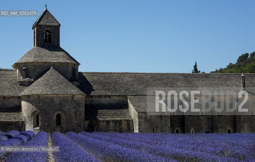 Lavender field at the Abbey of Sénanque / Campo di lavanda presso labbazia di Sénanque - ©Marcello Mencarini/Rosebud2