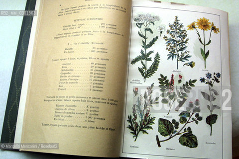 Recipes with distilled absinthe / Ricette con distillato dassenzio - ©Marcello Mencarini/Rosebud2