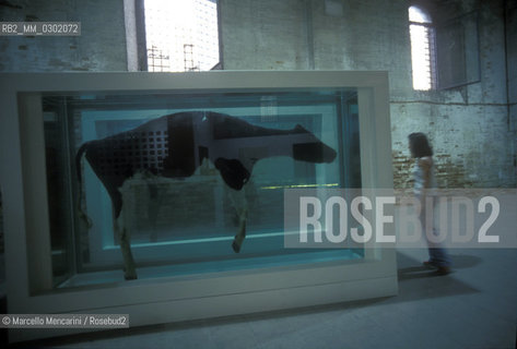 45th Venice Art Biennale, 1993. Mother and Child, Divided by Damien Hirst: a floor-based sculpture comprising four glass-walled tanks, containing the two halves of a cow and calf, each bisected and preserved in formaldehyde solution / 4aa Biennale Arte di Venezia, 1993. Mother and Child, Divided (Madre e bambino. Divisi) di Damien Hirst, opera che consiste in quattro vasche contenenti ognuna la metà di una mucca o di un vitello tagliati longitudinalmente e conservati in formaldeide - ©Marcello Mencarini/Rosebud2