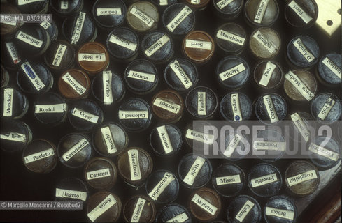 Rome, Palazzo Montecitorio, seat of the Italian Chamber of Deputies. Balls used for voting in the election of the President of the Italian Republic / Roma, Palazzo Montecitorio, sede della Camera dei Deputati. Pallotte per le votazioni usate nellelezione del presidente della Repubblica italiana - ©Marcello Mencarini/Rosebud2