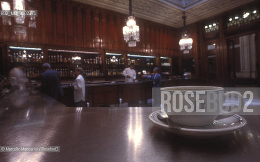 Rome, Palazzo Montecitorio, seat of the Italian Chamber of Deputies. La Buvette (cafeteria) / Palazzo Montecitorio, Roma, sede della Camera dei Deputati. La Buvette - ©Marcello Mencarini/Rosebud2