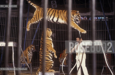 Lido di Ostia, Rome. Nando Orfei Circus. Nando Orfei taming tigers / Ostia Lido, Roma. Circo Nando Orfei. Nando Orfei mentre doma delle tigri - ©Marcello Mencarini/Rosebud2