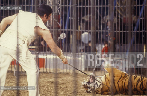 Lido di Ostia, Rome. Nando Orfei Circus. Nando Orfei taming tigers / Ostia Lido, Roma. Circo Nando Orfei. Nando Orfei mentre doma delle tigri - ©Marcello Mencarini/Rosebud2