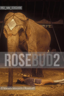 Lido di Ostia, Rome. Nando Orfei Circus. Elephants / Ostia Lido, Roma. Circo Nando Orfei. Elefanti - ©Marcello Mencarini/Rosebud2
