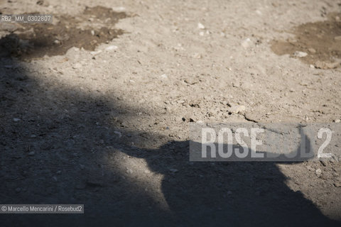 Arles, September 2014. Bulls in the corrals at Gimeaux, spaces built to host them in the days before the bullfights / Arles, settembre 2014. Tori nei corrales a Gimeaux, spazi costruiti per ospitarli nei giorni che pecedono le corride - ©Marcello Mencarini/Rosebud2
