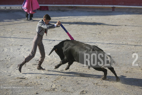 Arles, September 2014. Bullfight in the arena at the Gimeaux corrals, spaces built to host the bulls / Arles, settembre 2014, corrida ai corrales di Gimeaux, nellarena presso gi spazi appositamente costruiti per ospitare i tori - ©Marcello Mencarini/Rosebud2