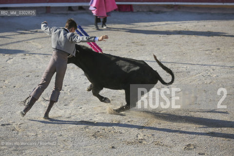 Arles, September 2014. Bullfight in the arena at the Gimeaux corrals, spaces built to host the bulls / Arles, settembre 2014, corrida ai corrales di Gimeaux, nellarena presso gi spazi appositamente costruiti per ospitare i tori - ©Marcello Mencarini/Rosebud2