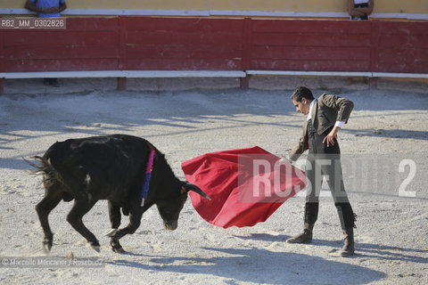 Arles, September 2014. Bullfight in the arena at the Gimeaux corrals, spaces built to host the bulls / Arles, settembre 2014, corrida ai corrales di Gimeaux, nellarena presso gi spazi appositamente costruiti per ospitare i tori - ©Marcello Mencarini/Rosebud2