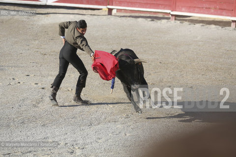 Arles, September 2014. Bullfight in the arena at the Gimeaux corrals, spaces built to host the bulls / Arles, settembre 2014, corrida ai corrales di Gimeaux, nellarena presso gi spazi appositamente costruiti per ospitare i tori - ©Marcello Mencarini/Rosebud2