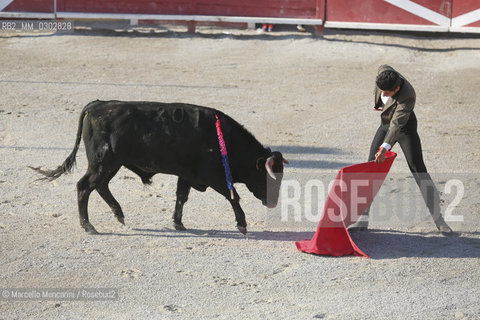 Arles, September 2014. Bullfight in the arena at the Gimeaux corrals, spaces built to host the bulls / Arles, settembre 2014, corrida ai corrales di Gimeaux, nellarena presso gi spazi appositamente costruiti per ospitare i tori - ©Marcello Mencarini/Rosebud2