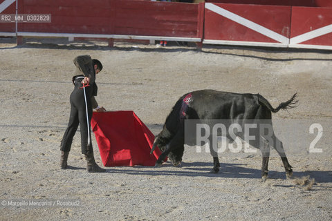 Arles, September 2014. Bullfight in the arena at the Gimeaux corrals, spaces built to host the bulls / Arles, settembre 2014, corrida ai corrales di Gimeaux, nellarena presso gi spazi appositamente costruiti per ospitare i tori - ©Marcello Mencarini/Rosebud2