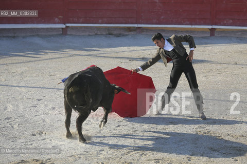 Arles, September 2014. Bullfight in the arena at the Gimeaux corrals, spaces built to host the bulls / Arles, settembre 2014, corrida ai corrales di Gimeaux, nellarena presso gi spazi appositamente costruiti per ospitare i tori - ©Marcello Mencarini/Rosebud2
