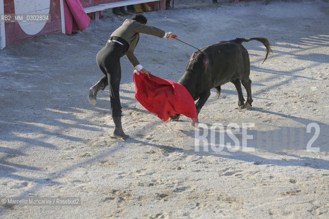 Arles, September 2014. Bullfight in the arena at the Gimeaux corrals, spaces built to host the bulls. Bullfighter tries for the first time to kill bull with sword / Arles, settembre 2014, corrida ai corrales di Gimeaux, nellarena presso gi spazi appositamente costruiti per ospitare i tori. Primo tentativo del torero di uccidere il toro con la spada - ©Marcello Mencarini/Rosebud2