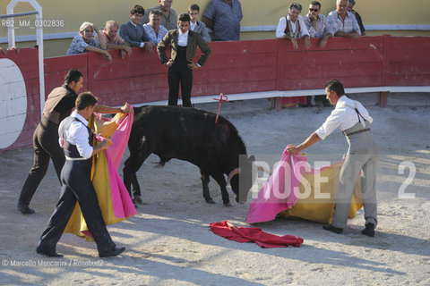 Arles, September 2014. Bullfight in the arena at the Gimeaux corrals, spaces built to host the bulls. The wounded bull, after two attempts to kill him with the sword / Arles, settembre 2014, corrida ai corrales di Gimeaux, nellarena presso gi spazi appositamente costruiti per ospitare i tori. Il toro ferito, dopo due tentativi di ucciderlo con la spada - ©Marcello Mencarini/Rosebud2