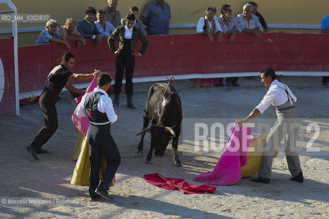 Arles, September 2014. Bullfight in the arena at the Gimeaux corrals, spaces built to host the bulls. The wounded bull, after two attempts to kill him with the sword / Arles, settembre 2014, corrida ai corrales di Gimeaux, nellarena presso gi spazi appositamente costruiti per ospitare i tori. Il toro ferito, dopo due tentativi di ucciderlo con la spada - ©Marcello Mencarini/Rosebud2