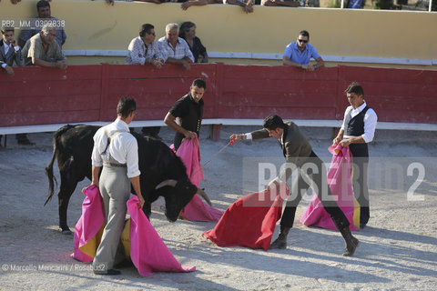 Arles, September 2014. Bullfight in the arena at the Gimeaux corrals, spaces built to host the bulls. Bullfighter tries to kill bull with sword for the third time / Arles, settembre 2014, corrida ai corrales di Gimeaux, nellarena presso gi spazi appositamente costruiti per ospitare i tori. Terzo tentativo del torero di uccidere il toro con la spada - ©Marcello Mencarini/Rosebud2