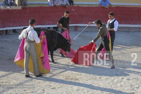 Arles, September 2014. Bullfight in the arena at the Gimeaux corrals, spaces built to host the bulls. Bullfighter tries to kill bull with sword for the third time / Arles, settembre 2014, corrida ai corrales di Gimeaux, nellarena presso gi spazi appositamente costruiti per ospitare i tori. Terzo tentativo del torero di uccidere il toro con la spada - ©Marcello Mencarini/Rosebud2