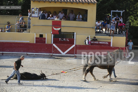 Arles, September 2014. Bullfight in the arena at the Gimeaux corrals, spaces built to host the bulls / Arles, settembre 2014, corrida ai corrales di Gimeaux, nellarena presso gi spazi appositamente costruiti per ospitare i tori - ©Marcello Mencarini/Rosebud2