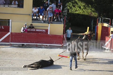 Arles, September 2014. Bullfight in the arena at the Gimeaux corrals, spaces built to host the bulls / Arles, settembre 2014, corrida ai corrales di Gimeaux, nellarena presso gi spazi appositamente costruiti per ospitare i tori - ©Marcello Mencarini/Rosebud2