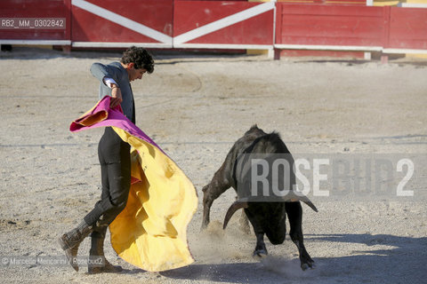 Arles, September 2014. Bullfight in the arena at the Gimeaux corrals, spaces built to host the bulls / Arles, settembre 2014, corrida ai corrales di Gimeaux, nellarena presso gi spazi appositamente costruiti per ospitare i tori - ©Marcello Mencarini/Rosebud2