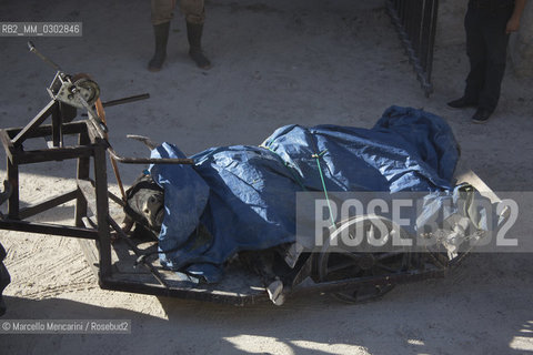 Arles, Provence, Feria du riz, September 2014. A bull killed in the bullfight is transported into the arenas butchery for meat processing / Arles, Provenza, Feria u riz 2014. Il toro ucciso nella corrida viene portato nella macelleria allinterno delle arene per la lavorazione della carne - ©Marcello Mencarini/Rosebud2