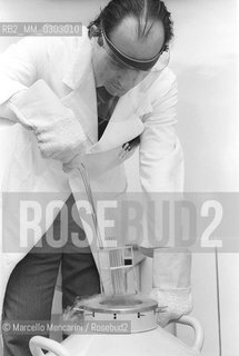 Prof. Vincenzo Traina during a procedure of artificial insemination in his clinic in Bari (about 1980) / Il Prof. Vincenzo Traina durante un intervento di inseminazione artificiale nella sua clinica di Bari (1980 circa) - ©Marcello Mencarini/Rosebud2