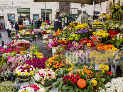Stalls of flowers of the outdoor market in Campo de Fiori in Rome / Bancarelle dei fiori del mercato in Campo de fiori a Roma - ©Marcello Mencarini/Rosebud2