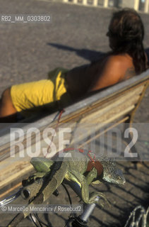 Ostia Lido, 1999. Man with iguana. Ostia is a beach town near Rome. In the summer time many people from Rome go there to the sea, particularly young suburban people said in slang coatti / Lido di Ostia, 1999. Uomo con iguana. Ostia è la spiaggia dei romani. Destate è frequentata in particolare dai giovani che abitano le borgate della periferia, i cosiddetti coatti- ©Marcello Mencarini/Rosebud2
