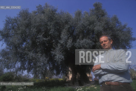 Canneto di Fara Sabina (Rieti), 1995. Il proprietario Rocco Aldo Bertini davanti allulivo più grande dEuropa / Canneto di Fara Sabina (Rieti), 1995. Owner Rocco Aldo Bertini in front of the biggest olive tree in Europe - ©Marcello Mencarini/Rosebud2