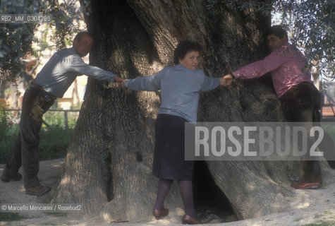 Canneto di Fara Sabina (Rieti), 1995. Bertini family, owner of the biggest olive tree in Europe / Canneto di Fara Sabina (Rieti), 1995. La famiglia Bertini, proprietaria del più antico ulivo del mondo - ©Marcello Mencarini/Rosebud2