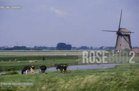 SCHERMER (Netherlands). Windmills / SCHERMER (Olanda), Mulini a vento - ©Marcello Mencarini/Rosebud2